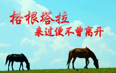 &#20061;&#24030;&#32593;&#39029;&#29256;&#45;&#20061;&#24030;&#40;&#20013;&#22269;&#41;&#95;&#20061;&#24030;&#40;&#20013;&#22269;&#41;